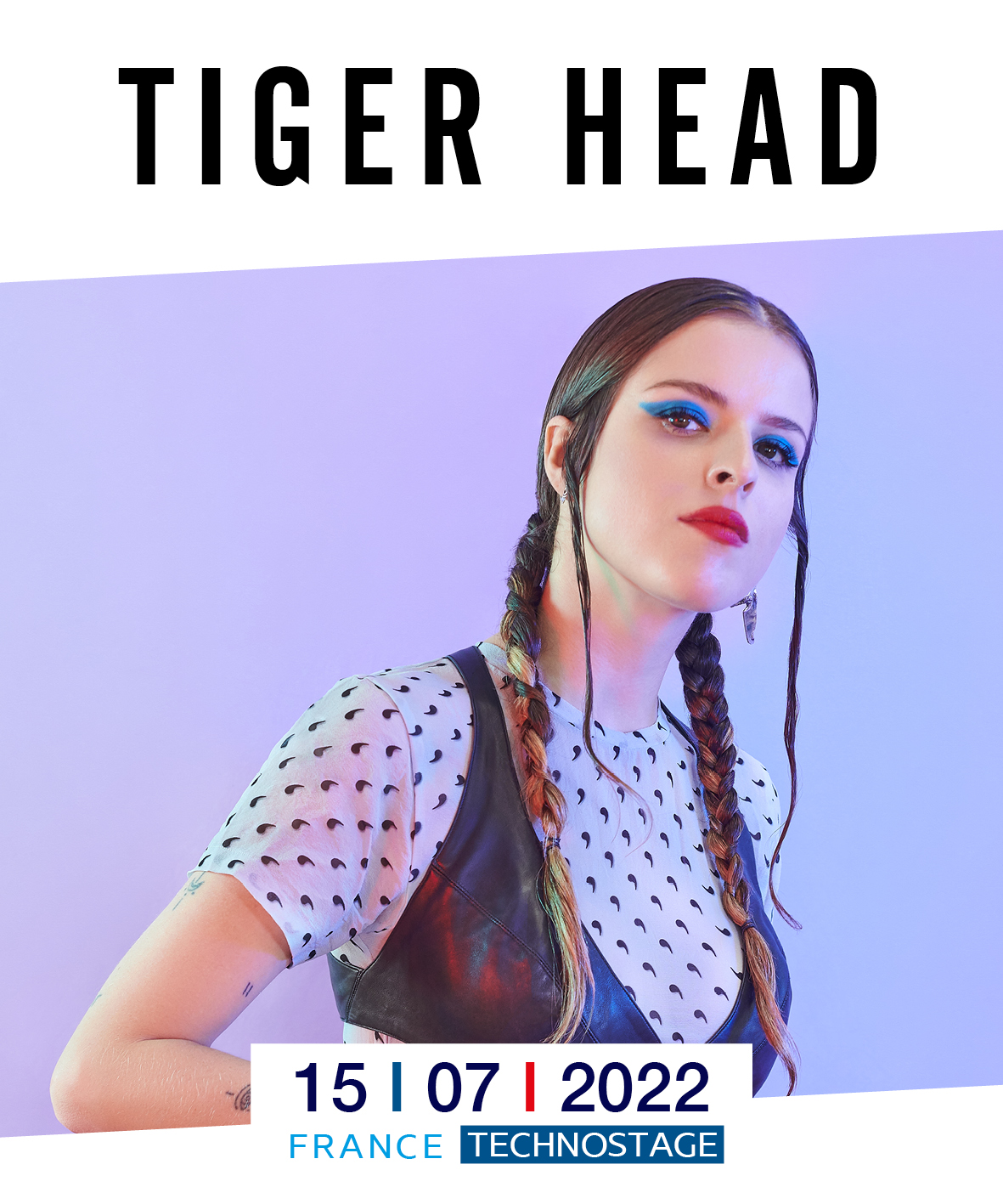 TigerHead-Vignette11
